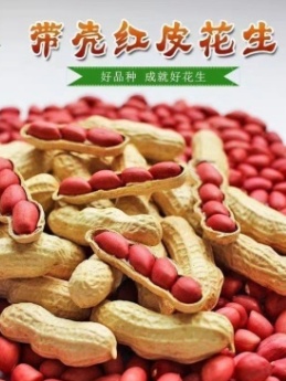 四粒红. 红皮小粒花生.白米红米