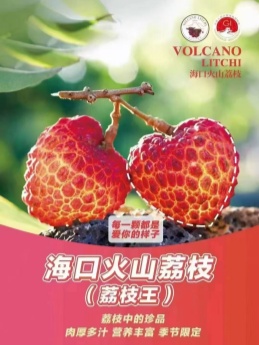 海南永兴火山岩荔枝王 净果约4.5斤礼盒装 顺丰空运包邮