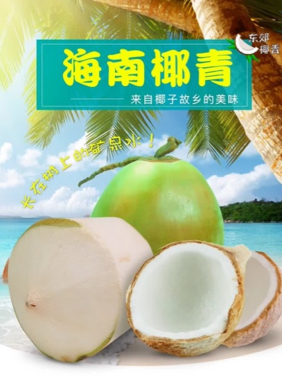 海南黄金椰子正宗带皮椰子椰青新鲜椰子当季 源头直发海南青椰